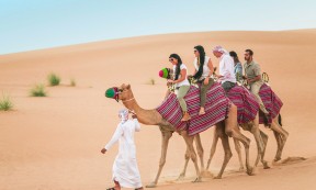Desert Camel Safari & Sand Dunes in Rajasthan