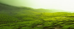 Munnar